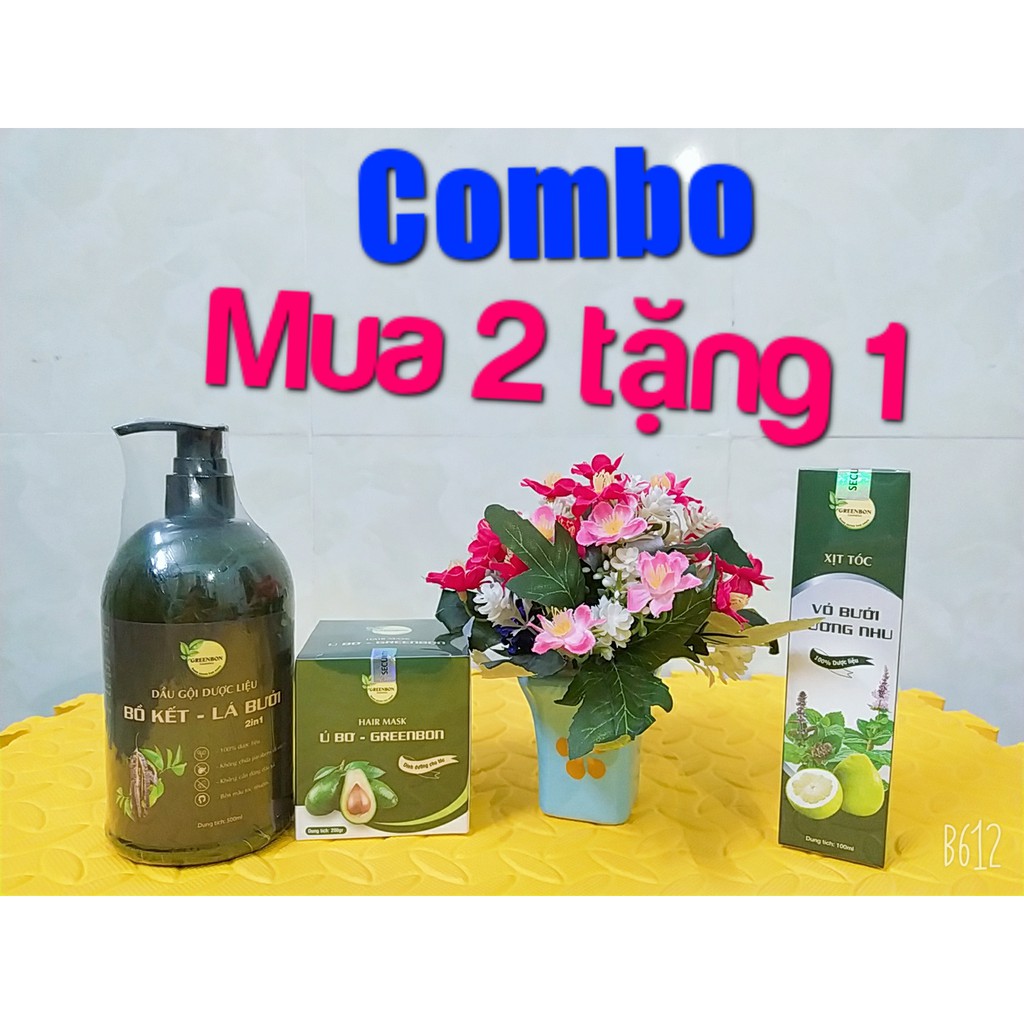 Combo Gội ủ xịt dưỡng tóc GREENBON