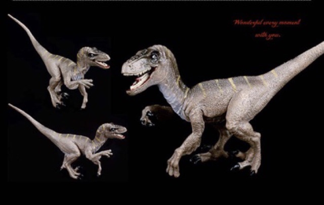 Mô Hình Khủng Long Velociraptor