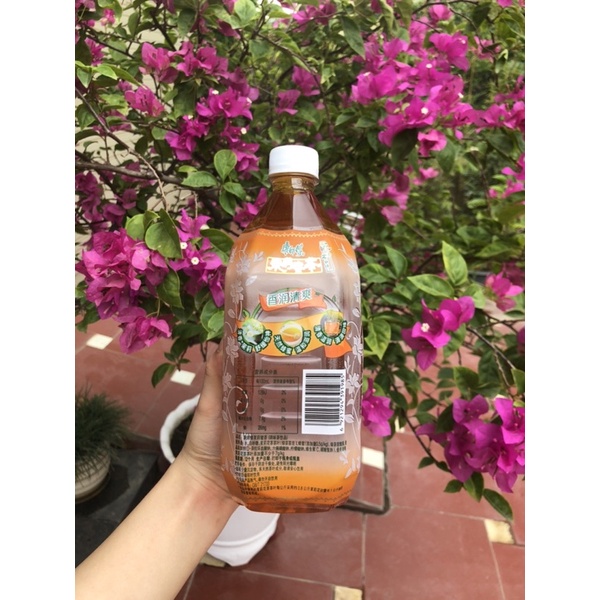 ⚡FREE SHIP⚡️Nước Lê - Trà Nhài - Nước Đào - Trà Chanh Đài Loan Chai 1000ML