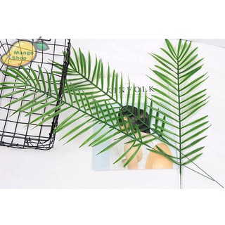 Lá nhựa chụp ảnh ( Lá dừa )