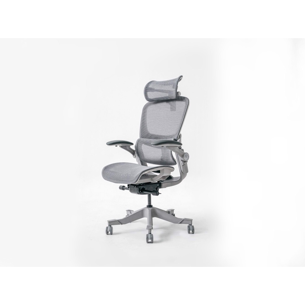 Ghế công thái học Epione Easy Chair SE