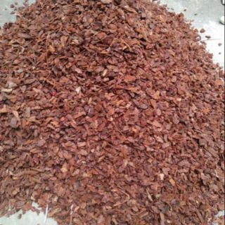 1kg vỏ thông trồng cây loai nhỏ