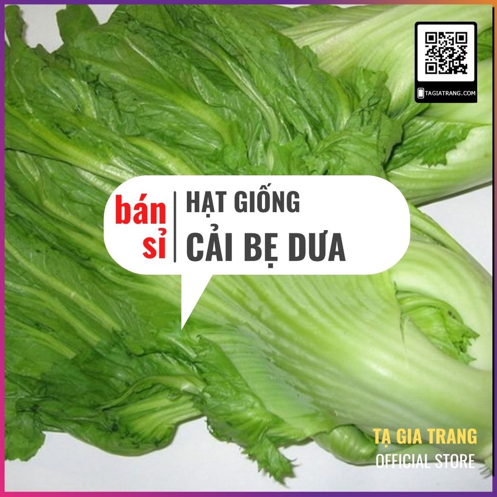 [Bán sỉ] - Hạt giống rau cải bẹ dưa (cải bẹ đông dư)