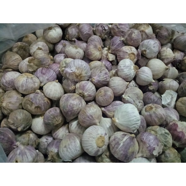 Tỏi cô đơn 1kg loại 1 Việt Nam, tỏi 1 nhánh đã chọn lọc