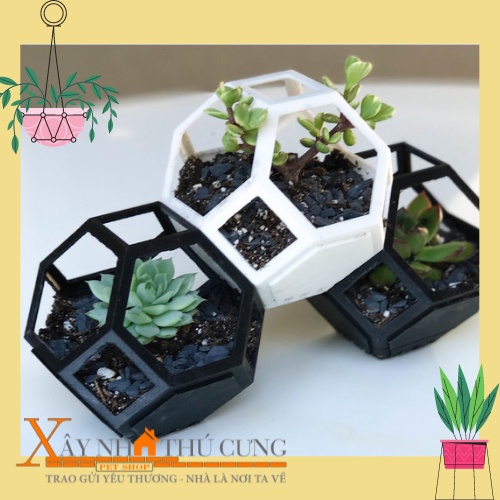 Chậu cây nhựa trồng cây cảnh để bàn, cây hoa kiểng, cây văn phòng