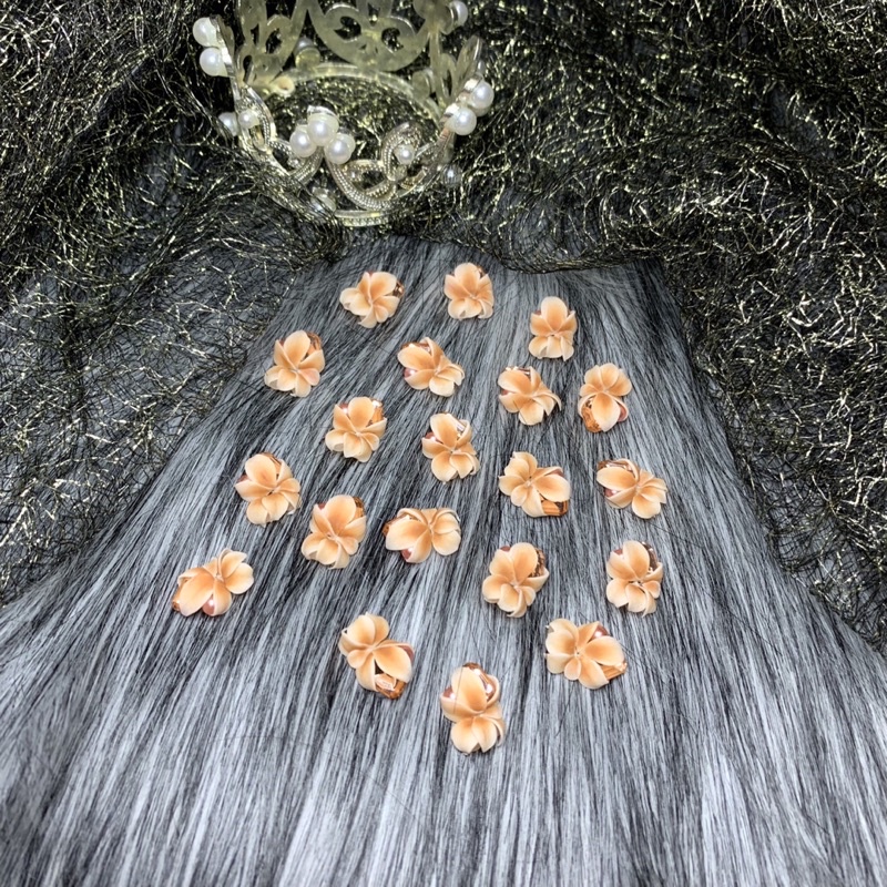 Hoa cúc bột góc tay trang trí móng