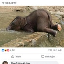 có một điều là mình chưa thấy ở sân nhà hay trước thềm nhà có cái bọc nào là bọc hàng đơn này cạ, thế mà lên shopee thấy giao hàng thành công 🙄😀😀 uh thôi mua có 1 ka nên tôi tha cho a nha a shipper, với bthg ảnh cũng ko có lấy tiền đồ 1k baoh :)))))) vẫn là 5 sao cho cả shop vs shipper kakakakaka