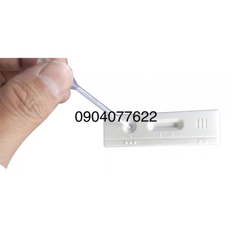 combo 10 que thử thai lợn,trâu,bò | BigBuy360 - bigbuy360.vn