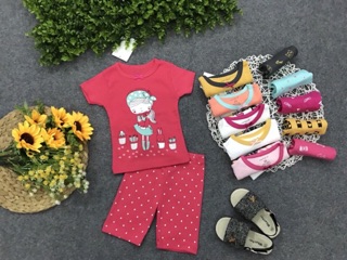 Set 4 bộ tay ngắn bé gái