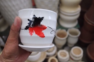 Chậu Sứ trồng cây