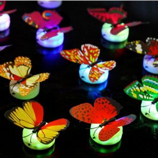 Đèn ngủ bướm phát sáng 3D