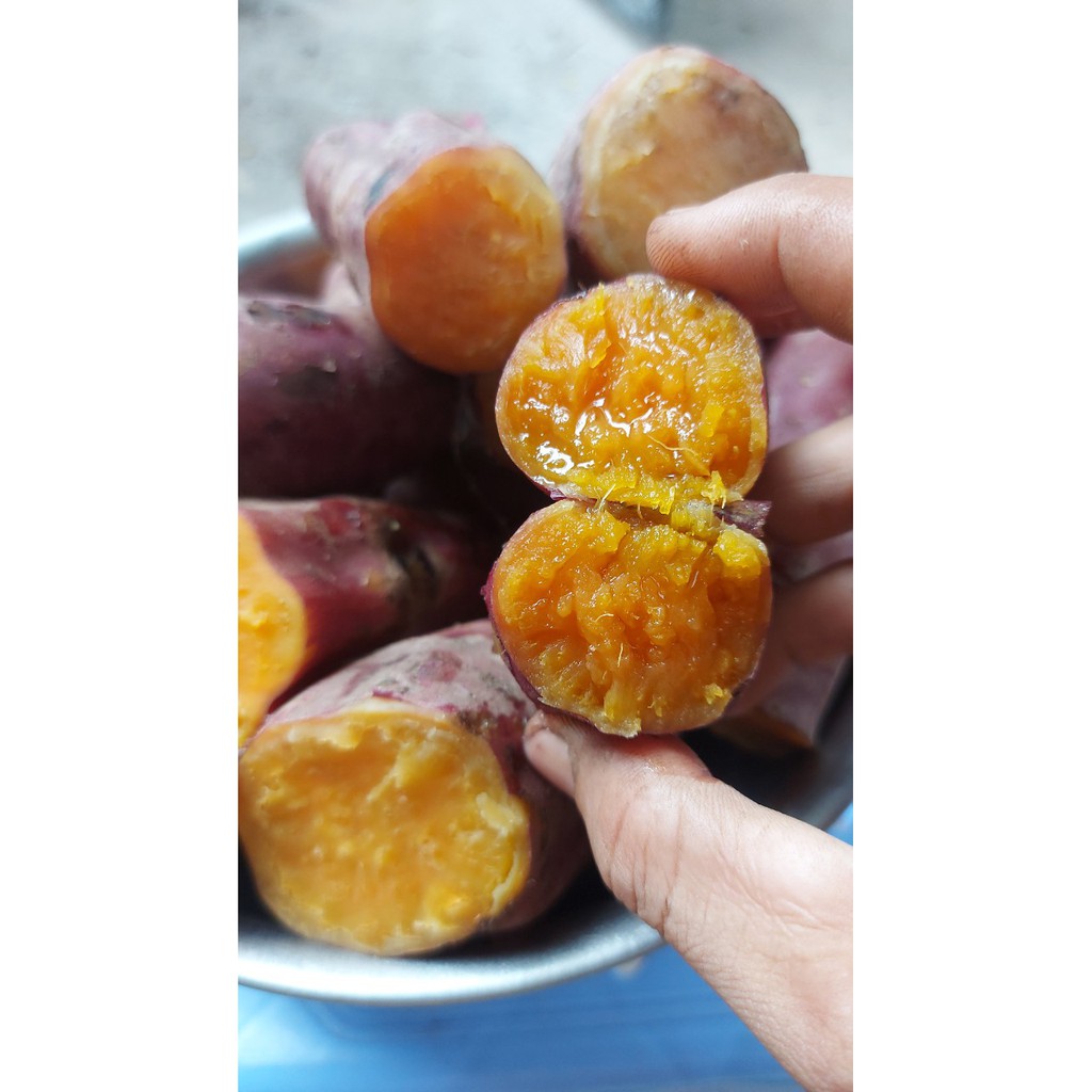 3 kg khoai mật Tà Nung- Đà Lạt củ lớn Từ 3-5 củ 1kg