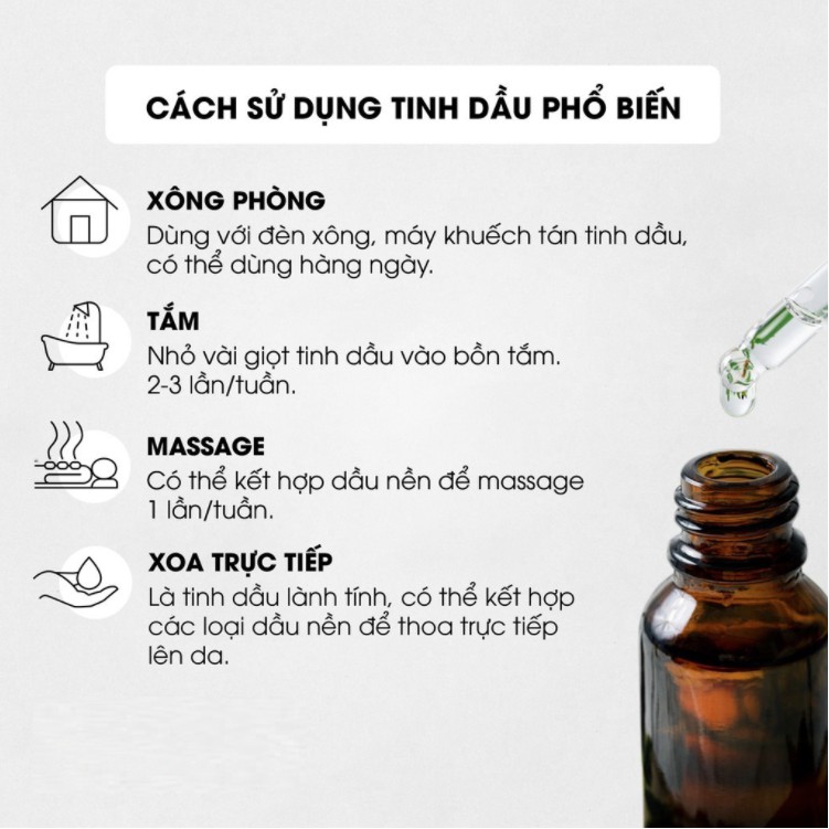 Tinh Dầu Tràm Gió cao cấp 10ml - Cajeput