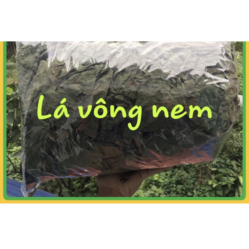 1KG Lá Vông Neem khô