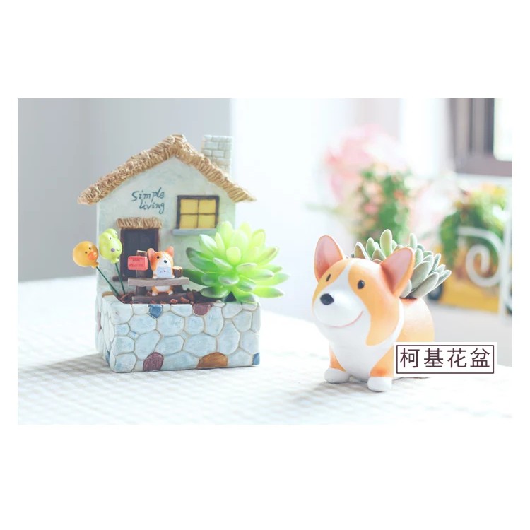 Chậu chú chó corgi - Trồng Cây Cảnh Trang Trí Để Bàn, sen đá, xương rồng