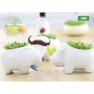 Chậu cây thú sứ trắng