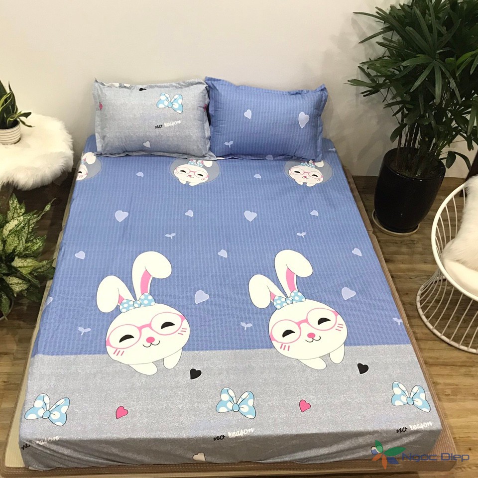 Ga chống thấm cotton trải giường nằm trực tiếp 2 trong 1 nhiều màu (được chọn mẫu)