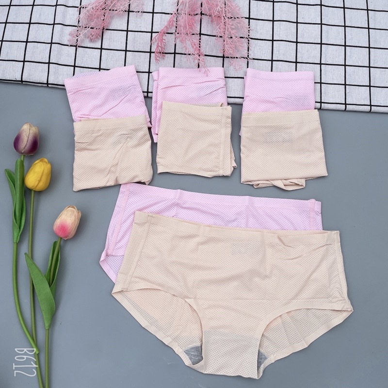 Quần lót su thông hơi chất đẹp co giãn thoải mái (1c)TL01