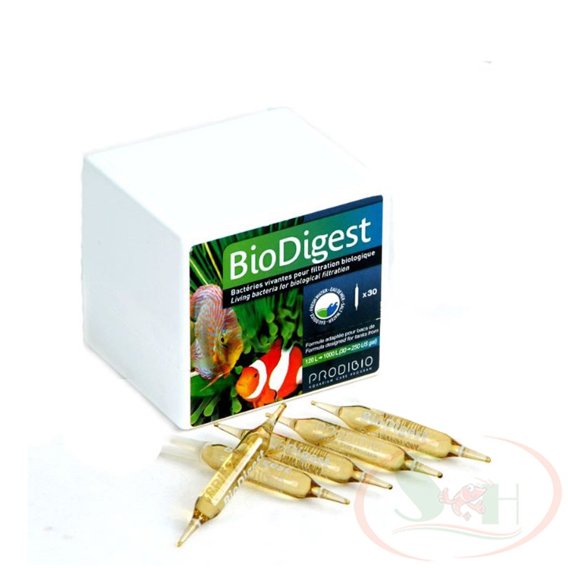 Vi sinh sống Prodibio BioDigest 1 ống cao cấp xử lý nước bể cá tép thủy sinh
