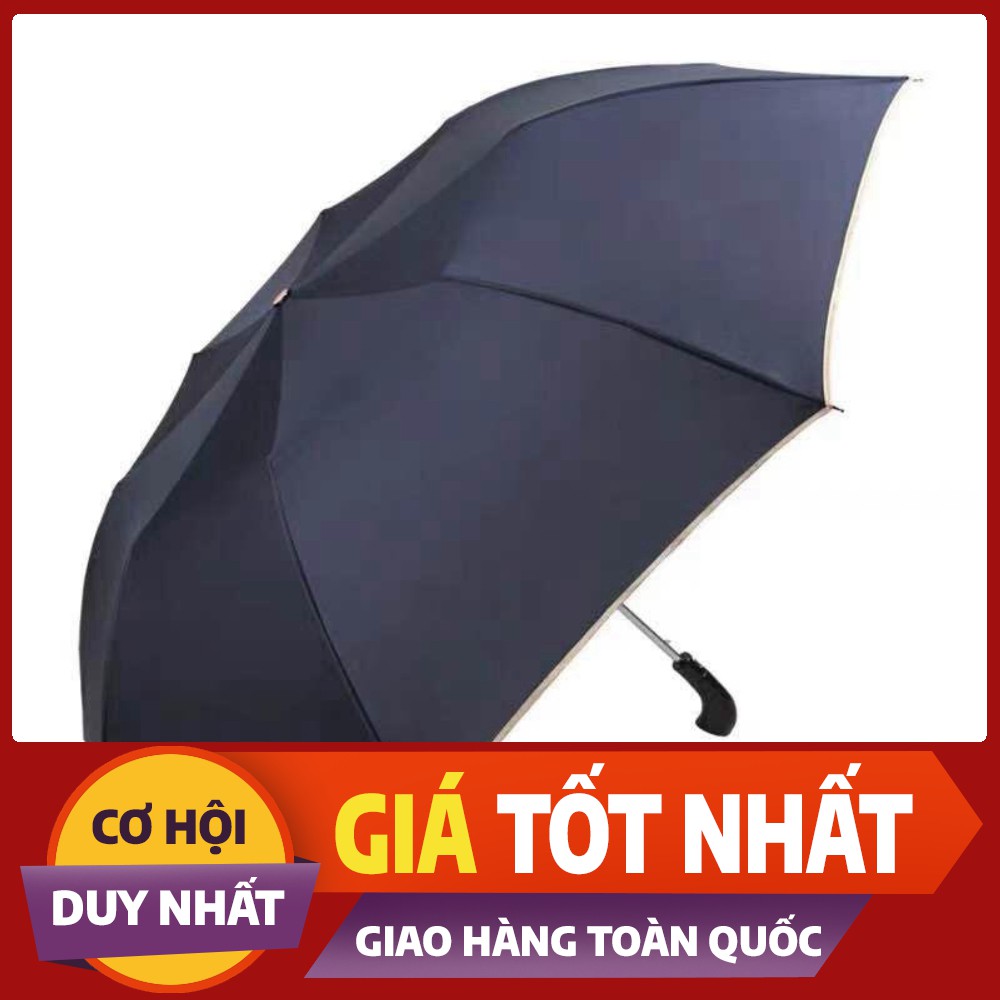 Ô-Dù-Ô Tô-Cao Cấp-Tự Động-2 Chiều-DC-TT