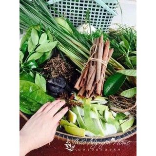 Dầu #gội#thảo#dược#truyen#thông