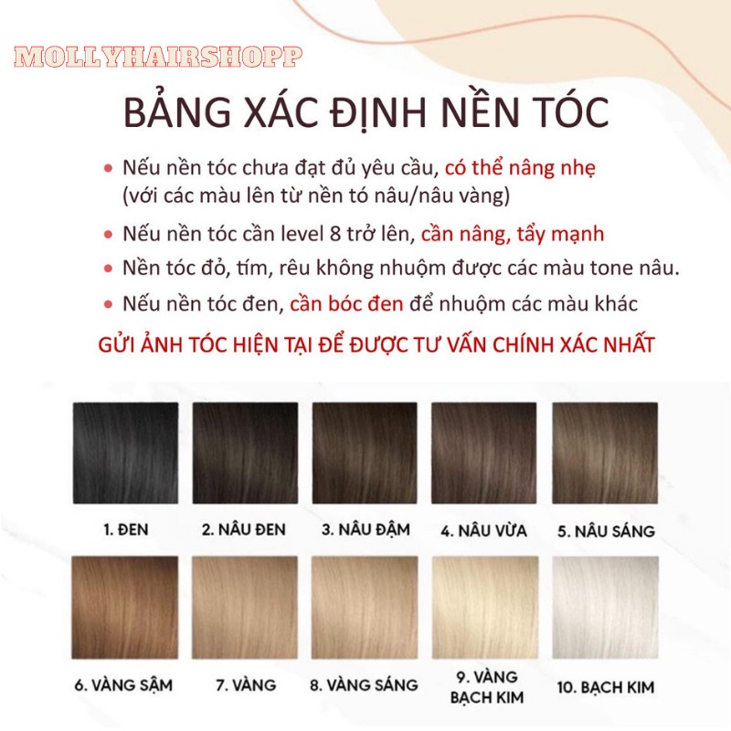 Thuốc nhuộm tóc màu Xanh Cổ Điển Đậm Mollyhair thương hiệu Nanocomplex, màu nhuộm top trend tặng găng tay tiện ích