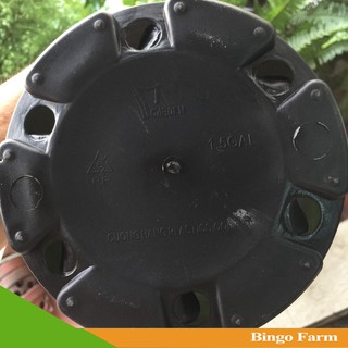 Chậu Monrovia 1,5 Galon Việt Nam