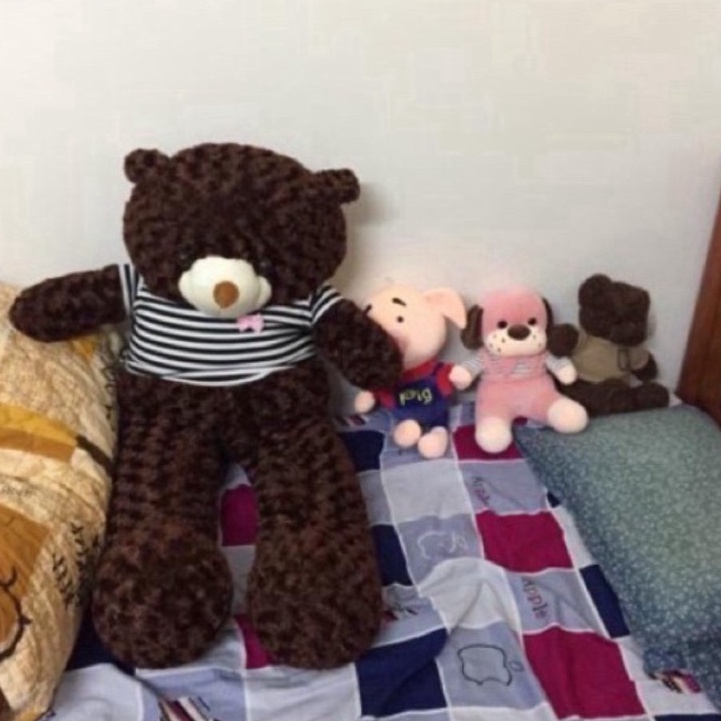 Gấu Bông Xù Teddy To Khổng Lồ Làm Quà Tặng Người Yêu Chất Liệu Vải Lông Nhung Xù Co Dãn Kích Thước 1m - 1m3