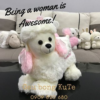 Gấu bông - Chó tiểu thư và Husky