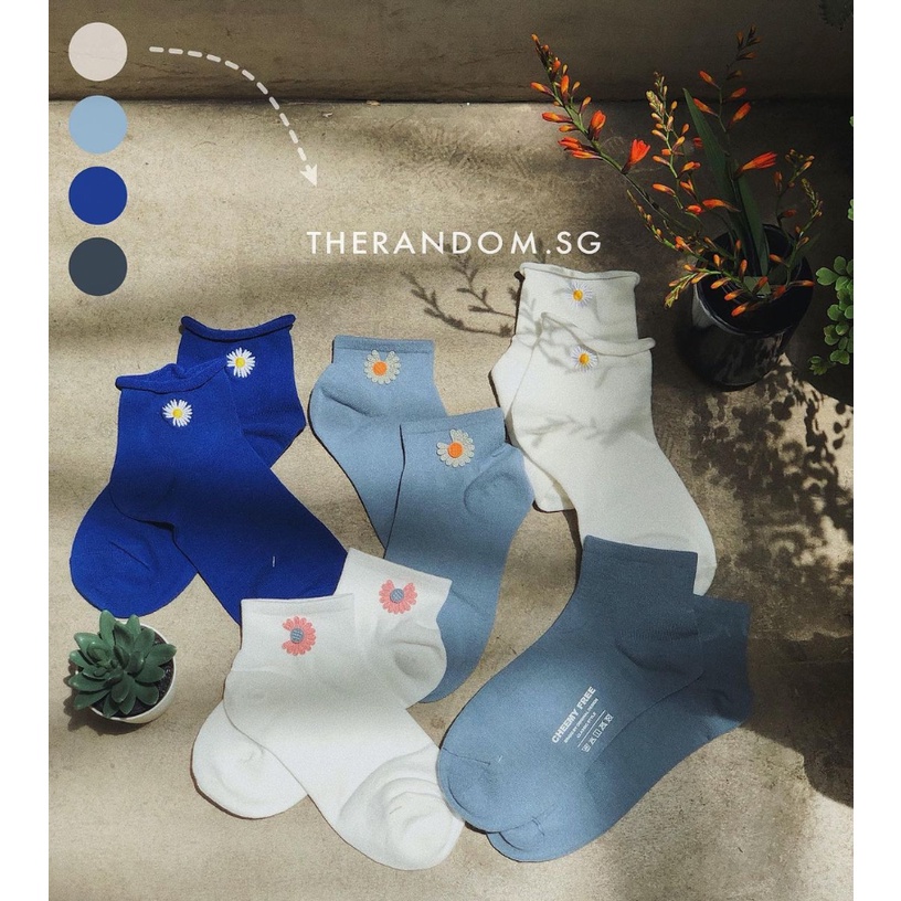 Vớ thêu hoa cúc XOĂN cổ trung màu basic