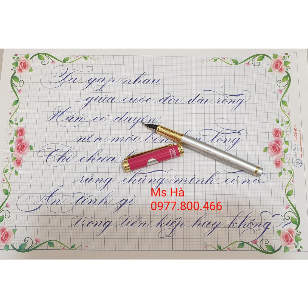 #SH040 Bút mài thầy Ánh SH 040 G - Calligraphy