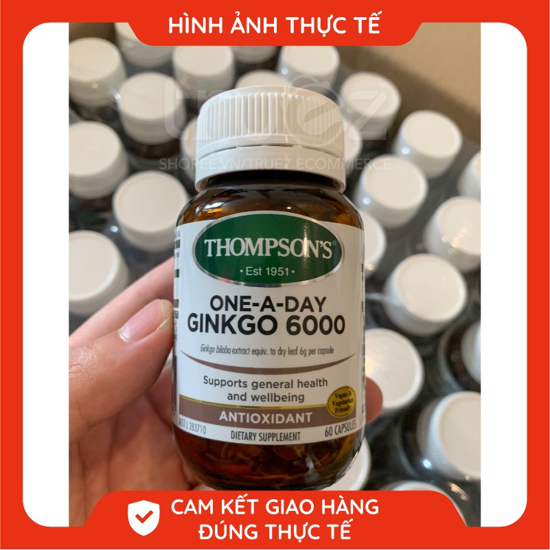 Bổ não tăng cường trí nhớ [Úc] Ginkgo Biloba 6000mg Thompson's [Chính hãng] | Thế Giới Skin Care