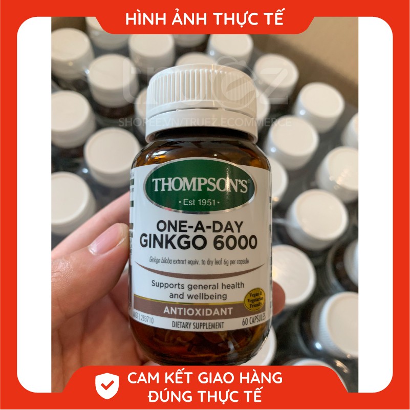 Bổ não tăng cường trí nhớ [Úc] Ginkgo Biloba 6000mg Thompson's [Chính hãng]