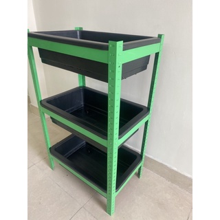 Combo 3 SP Khay trồng rau tại nhà 65x43x18cm
