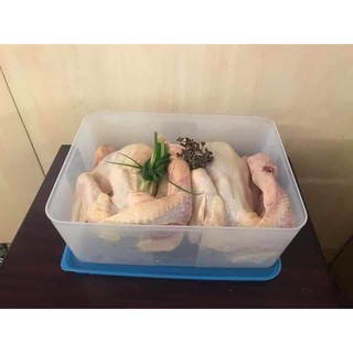 Hộp trữ đông 5.6L tiện dụng tupperware