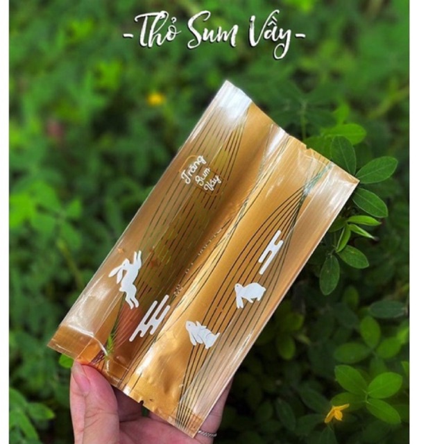 Bộ 100 khay túi trung thu các mẫu