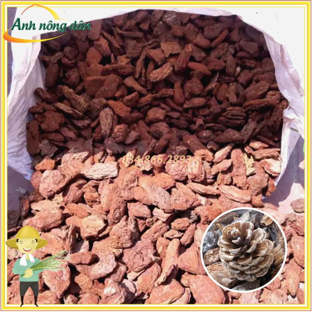 Vỏ thông mài cạnh đều đẹp Size 4x5cm (1kg) trang trí chậu cảnh, đã xử lý nấm mốc - Anh nông dân chính hiệu