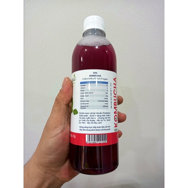 TRÀ EIYO KOMBUCHA – MÙI BẠC HÀ (Restore and Regenerate – Peppermint)