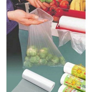 Cuộn 100 túi đựng thực phẩm sinh học 20x30cm
