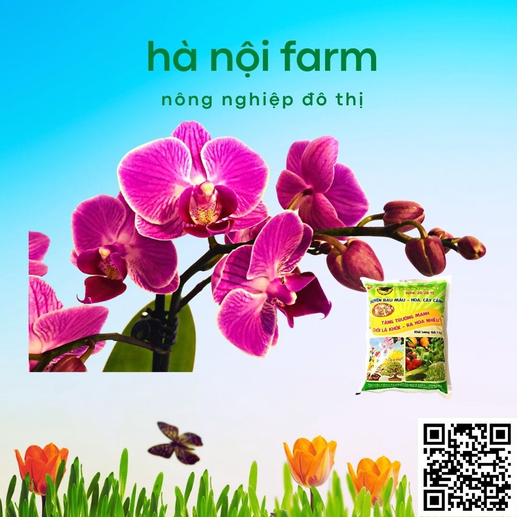 Phân bón đầu trâu 20-20-15, dùng cho rau màu, hoa kiểng gói 1kg