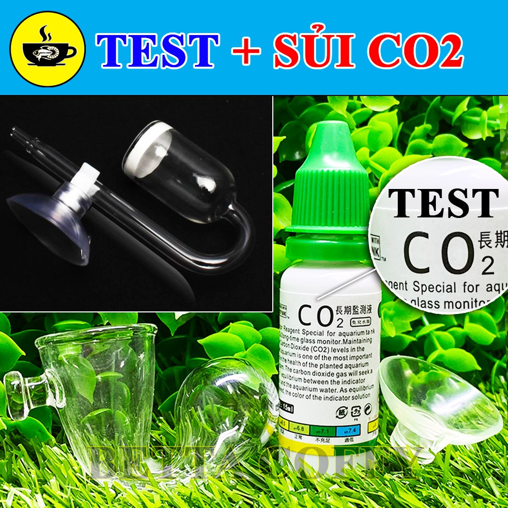 Bộ Kiểm tra Cốc Sủi Co2 trong hồ thuỷ sinh