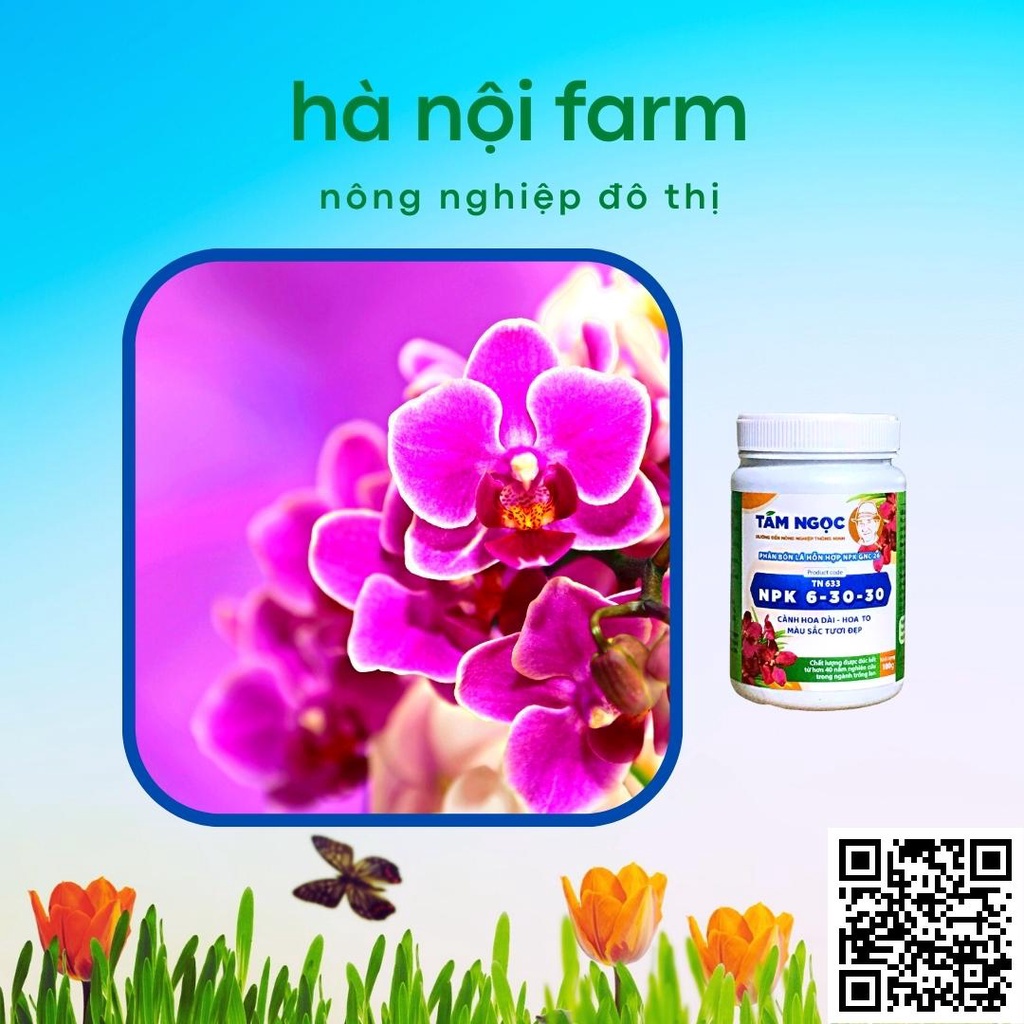 Phân bón lan NPK 6-30-30 Tám ngọc 100g