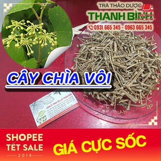 Cây Chìa Vôi Khô 500Gr - Hàng Chất Lượng - Cây Thuốc Nam Thanh Bình