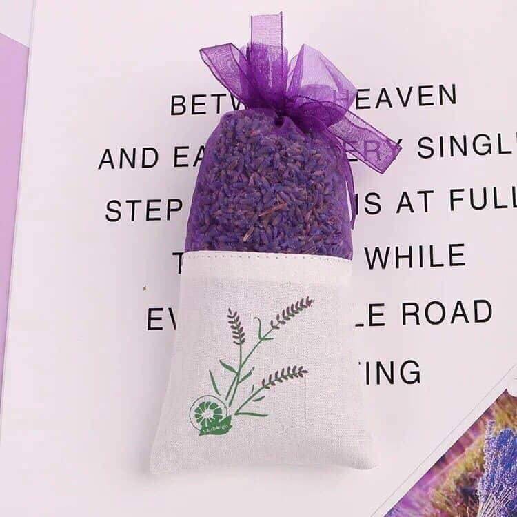 Nụ hoa lavender khô