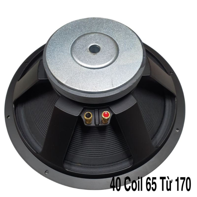 Bass Loa Kéo 40 Coil 65