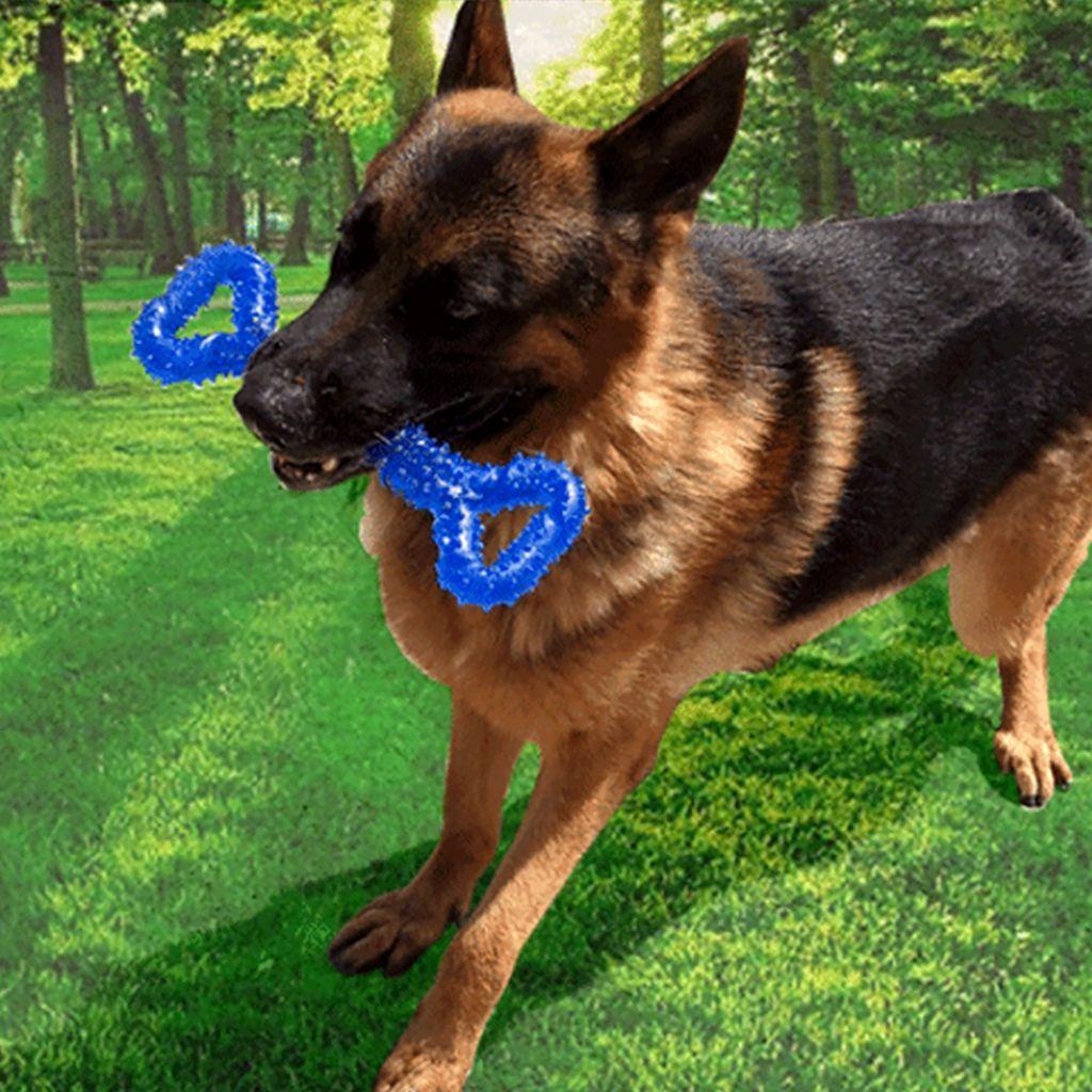 Cục Xương 13 Inch Bằng TPR Để Huấn Luyện Cún Cưng Tương Tác