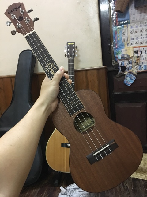 ( MUA 1 TẶNG 5) ĐÀN UKULELE CONCERT VIỀN ĐEN