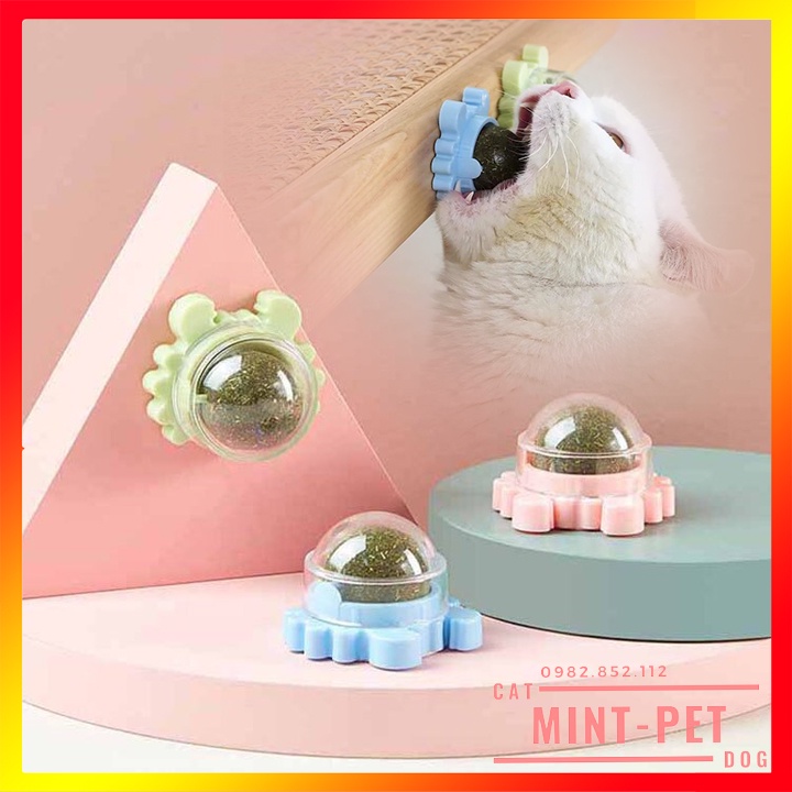 Đồ Chơi Cho Mèo Cỏ Mèo Catnip Dạng Bóng Xoay Tròn #MintPet