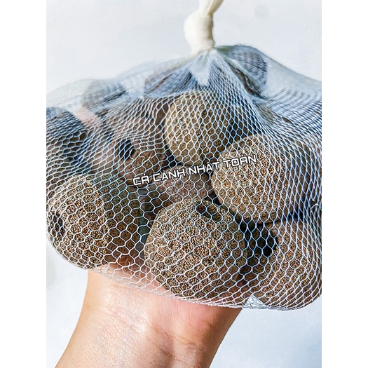 SỨ LỌC 3D VẬT LIỆU LỌC CHO BỂ CÁ CẢNH