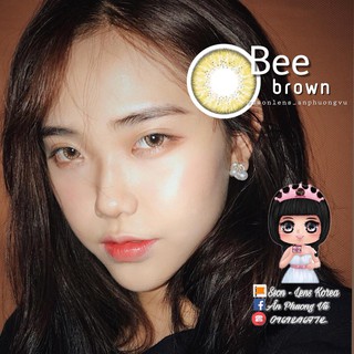 (CÓ CẬN) Mẫu Bee xám, nâu 14.2mm tây có ảnh mẫu đeo - Vassen Contact Lens Kính áp tròng
